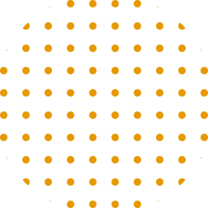 we connect electricien toulon